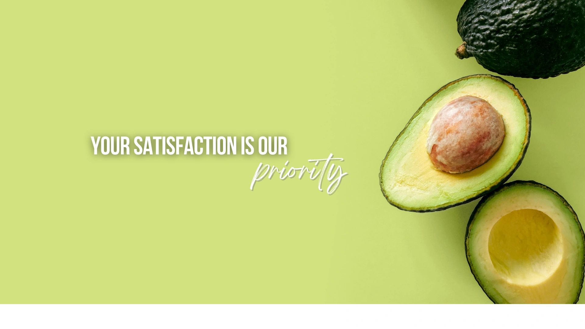 Avocado halves fresh