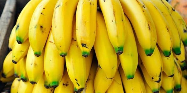 Cavendish banana yellow